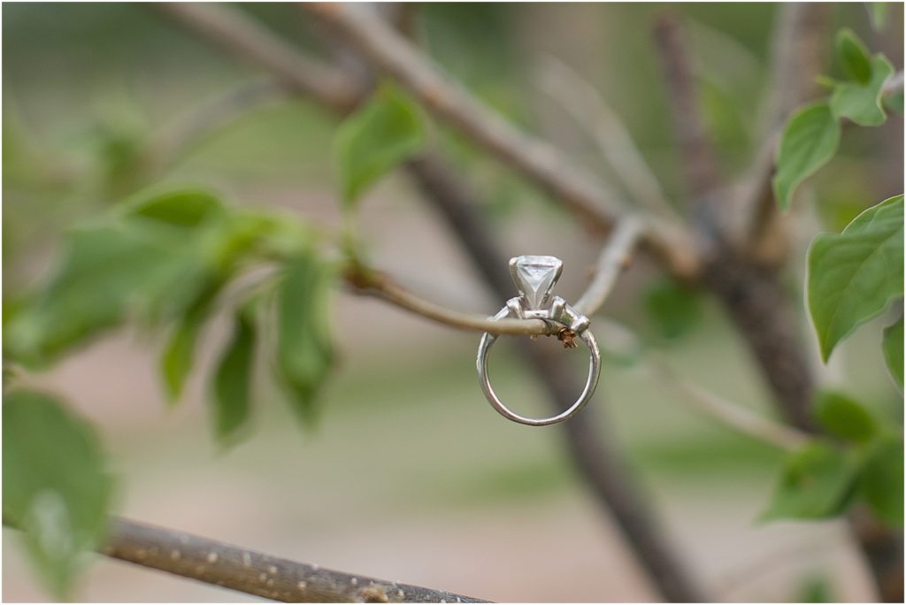 Engagement session at Falls Park - Sioux Falls, South Dakota